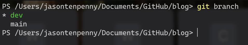 image showing the results of the "git branch" command
